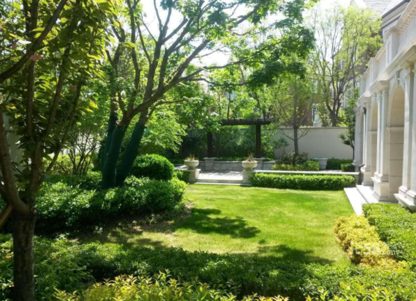 園中園.jpg